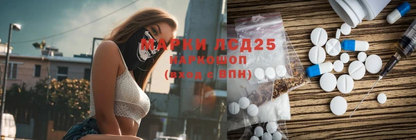 гашик Верея