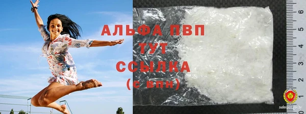 гашик Верея