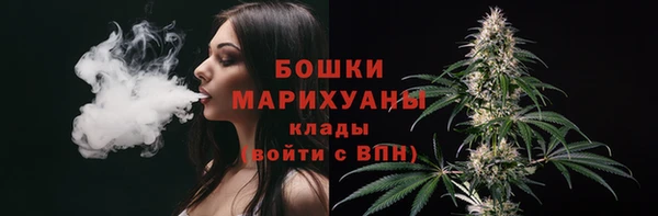 гашик Верея