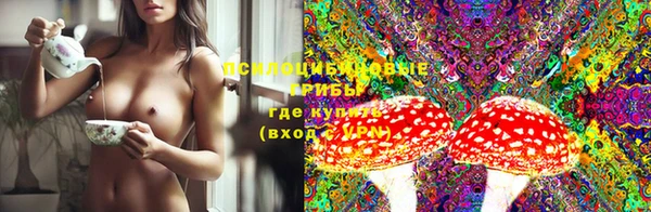 гашик Горно-Алтайск