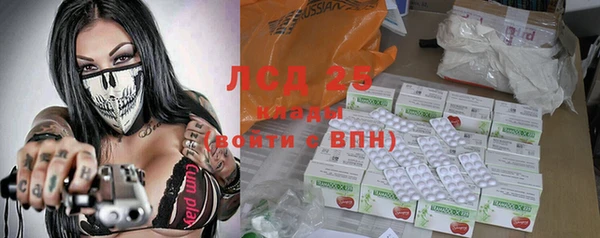 прущий лед Вяземский