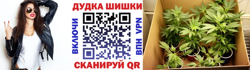 blacksprut   где найти   Ивдель  МАРИХУАНА марихуана 